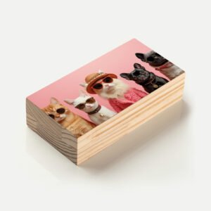 HT00202-2