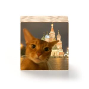 Gato em Moscou