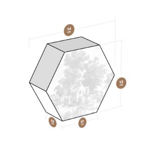 HT00313-7