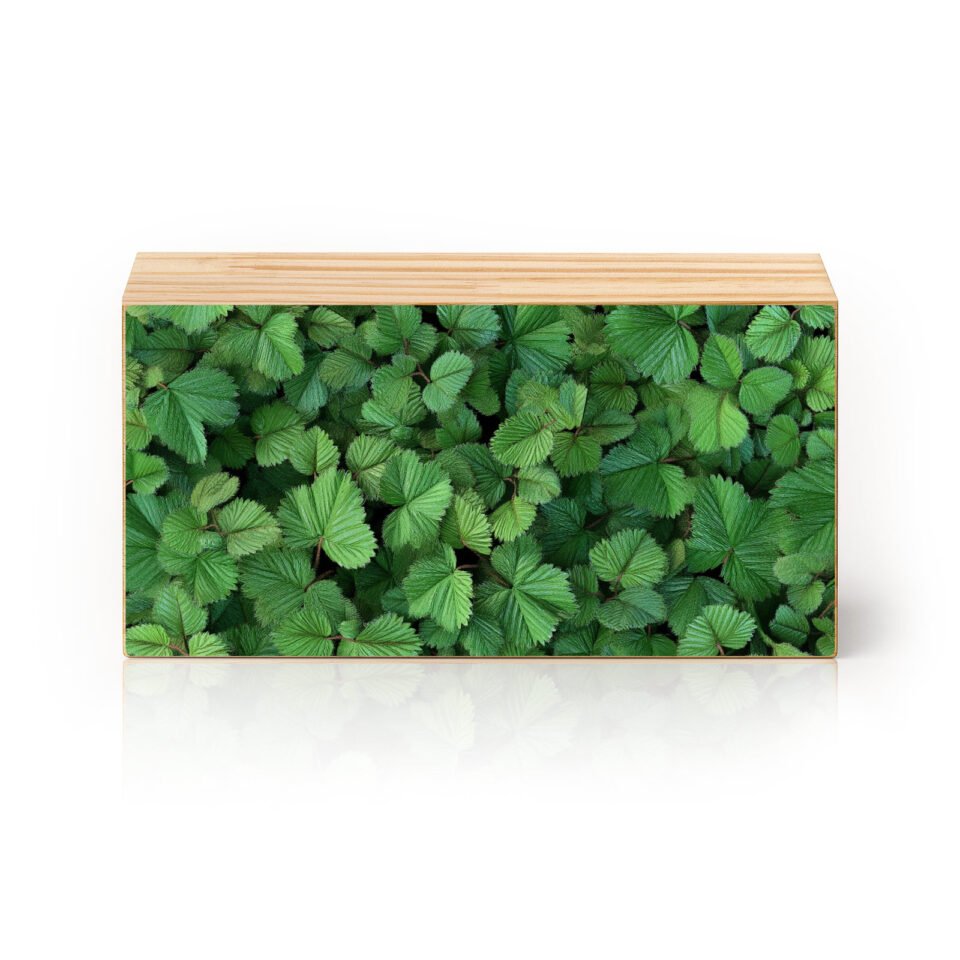 Verde que Abraça