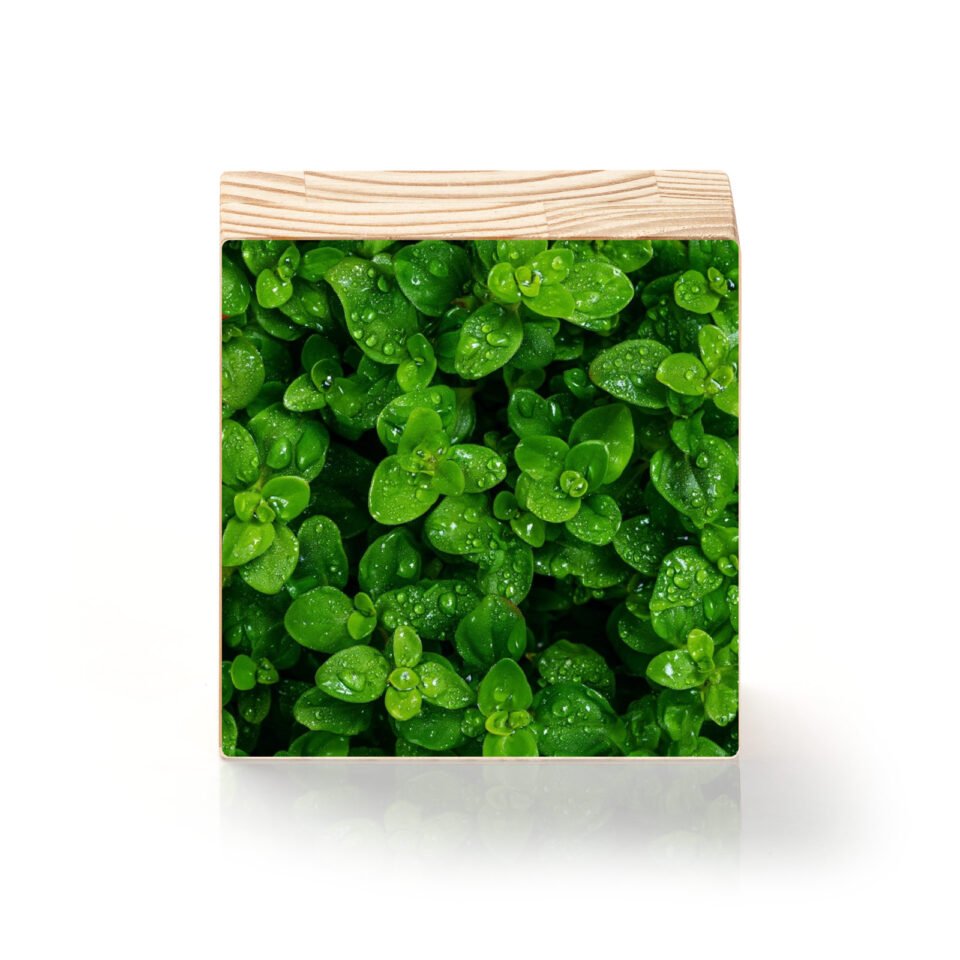 Verde que Inspira