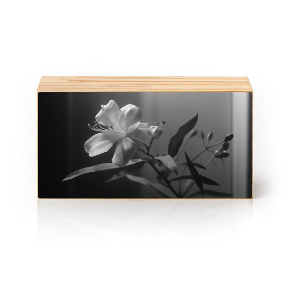 Flor Silenciosa