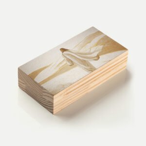 HT00491-2
