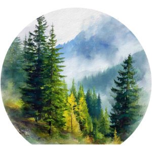 HT00776-6